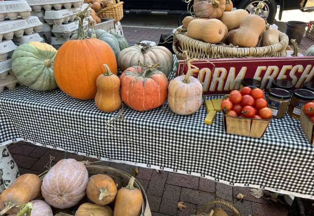 A vendor sells pumpkins, eggs, and vegetables at Dane County Farmers Market