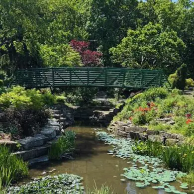 Overland Park Arboretum in Overland Park