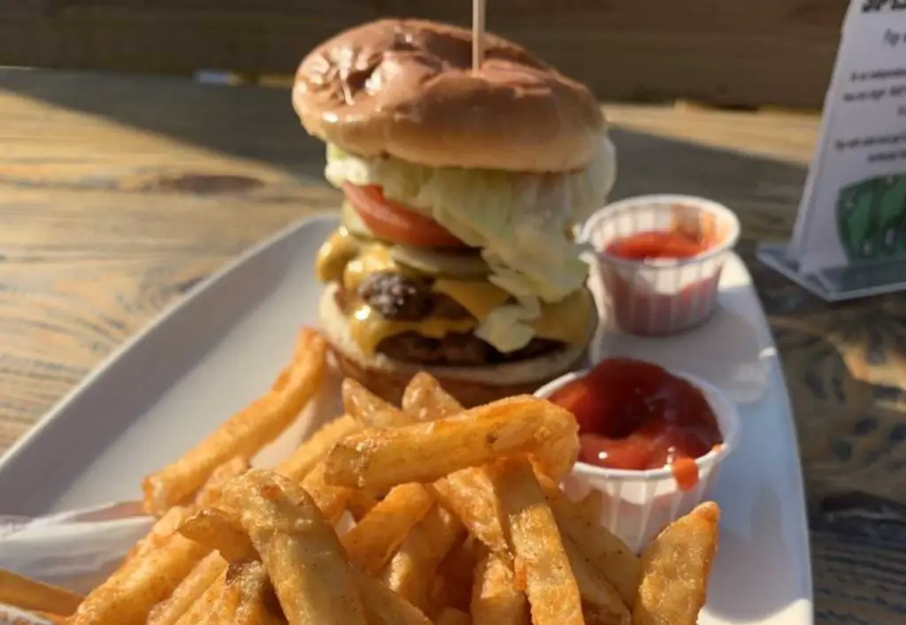 A huge portion of fries with a burger at Wheelhouse Craft Pub and Kitchen in Atlanta Georgia, some of the best burgers in Atlanta