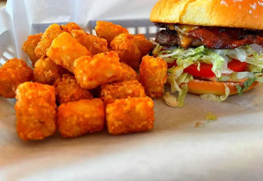 bacon cheeseburger and tots at Shake Out in Twin Falls Idaho. top burgers in Twin Falls
