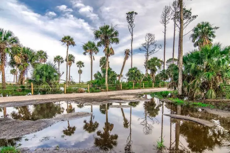 hunting island state park