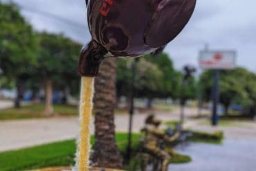 Vintage coffee cup fountain sculpture, outdoor park setting. A creative, artistic water feature featuring a coffee mug pouring water into a stone basin, perfect for travel destinations with unique attractions.