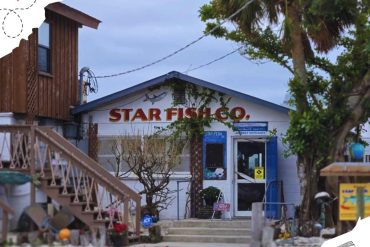 Seafood restaurant with signage "Star Fish Co." located in a coastal area with tropical trees, wooden stairs, and beach-themed decor, perfect for travel and dining experiences.