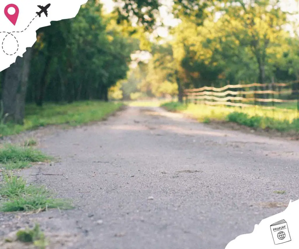 A dirt road lined with forestry and with a wooden fence on one side.