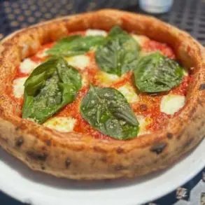 pizza at the forge artisan pizza in sandpoint idaho