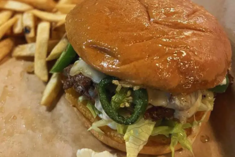 burger at do shaggy's in st. Charles, MO