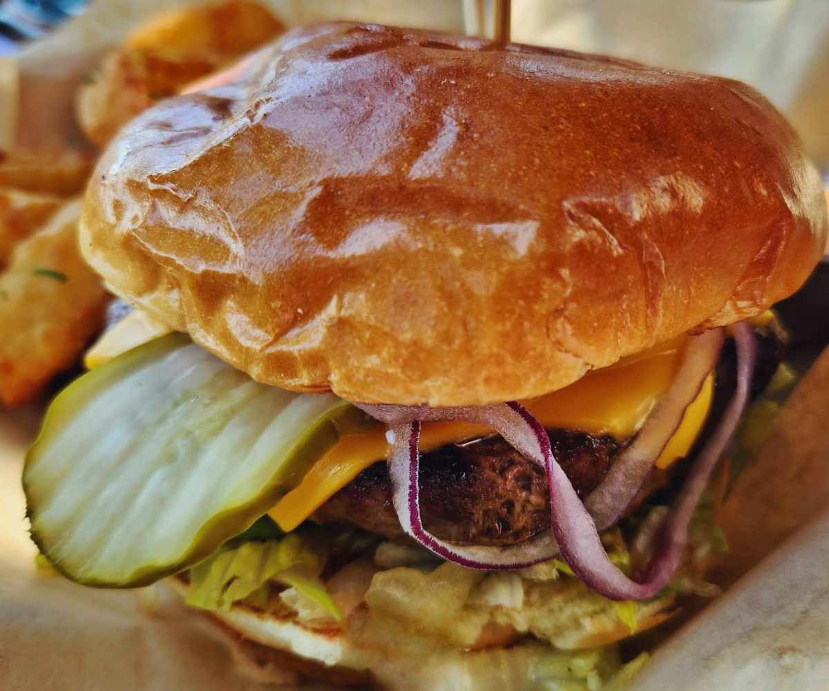 burger at lazy dog restaurant & bar in naperville illinois