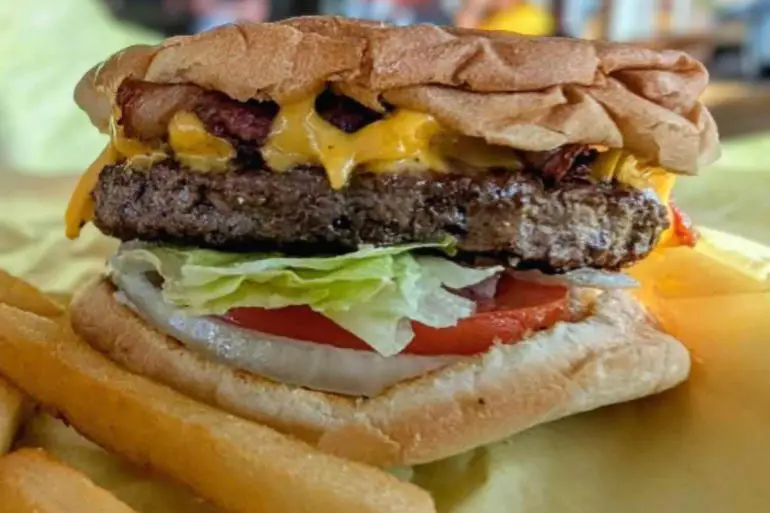 burger at all star burgers in Newark california