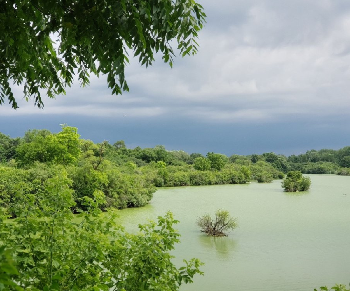 Top view of the lake