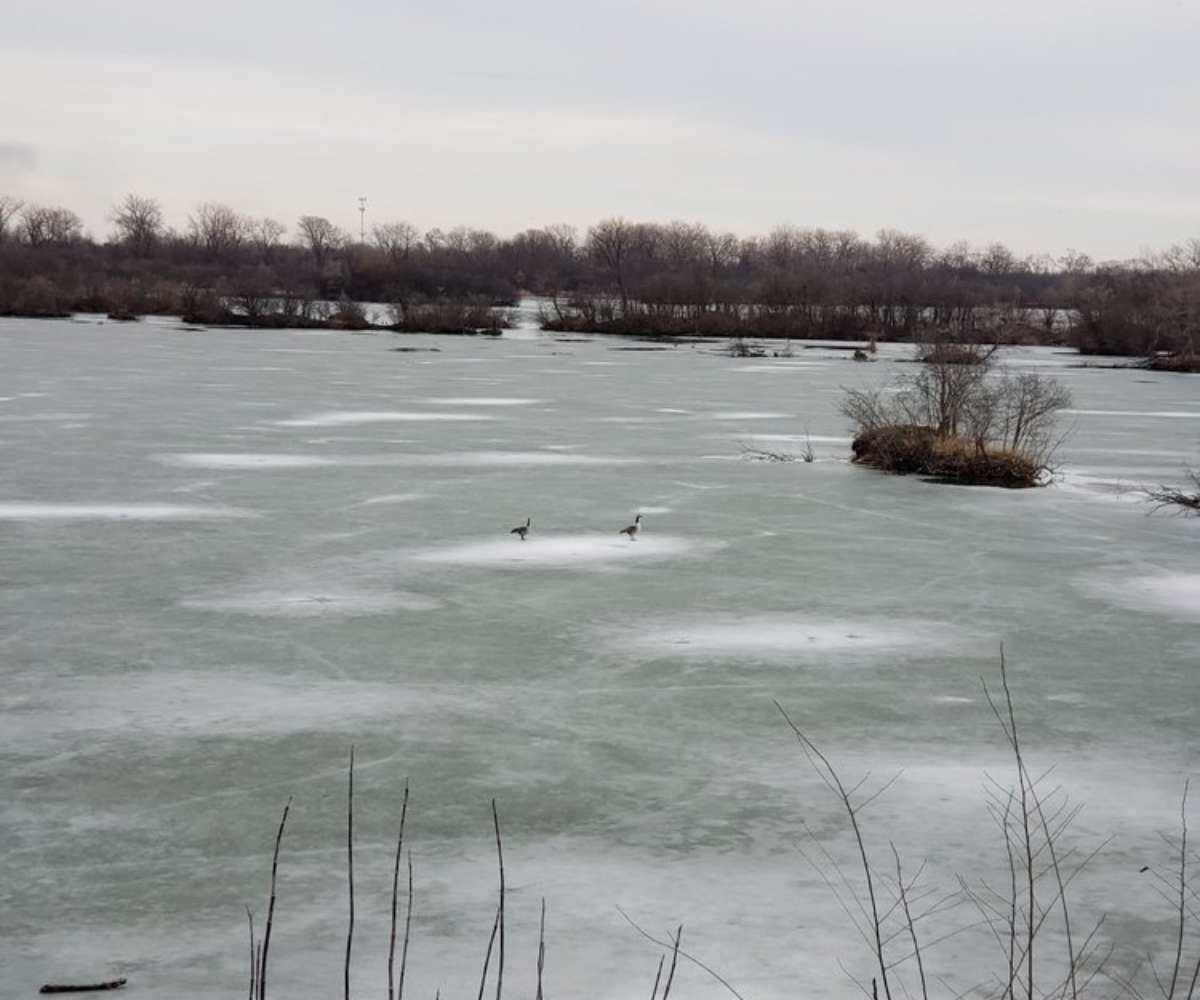 Frozen lake during winter season