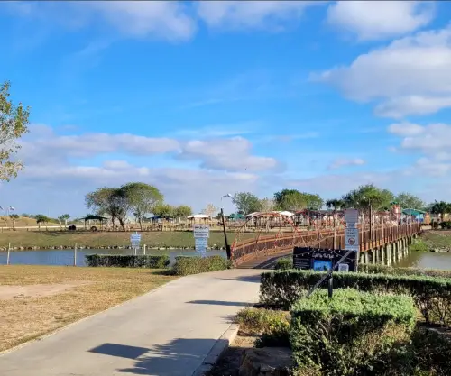 Local park's bridge view during the day