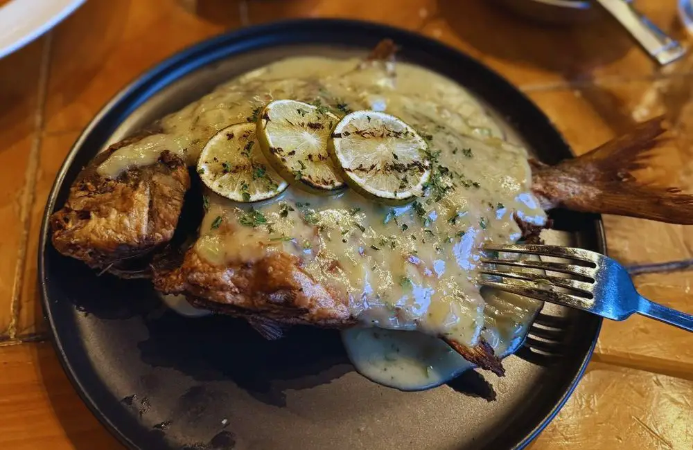 Photos for La Fisheria