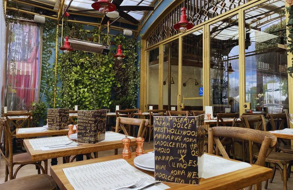 Photos for OSTE in Los Angeles, CA