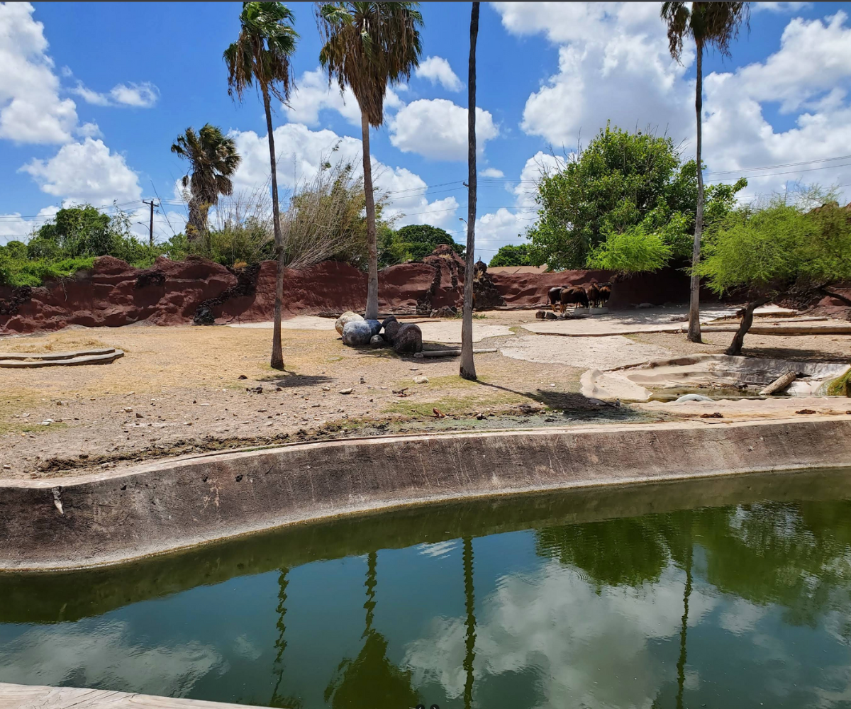 Daytime view of the famous Glady's Porter Zoo