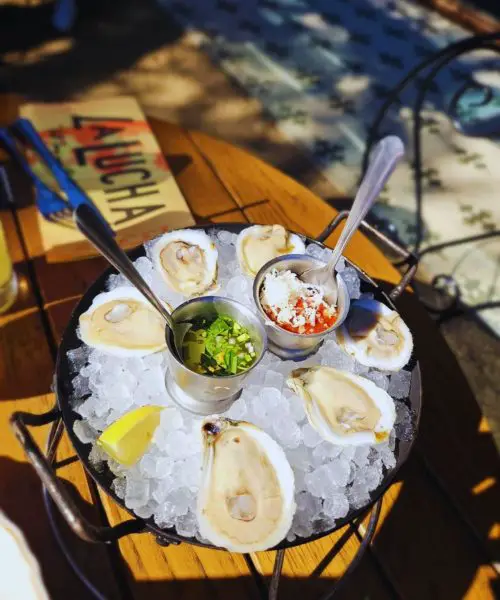 Oysters at La Lucha in Houston, TX