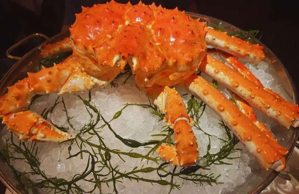 Photos for Shaw's Crab House in Chicago, IL