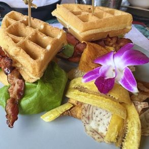Waffle BLT at Bulegreen Cafe Yard in Oakland Park, FL