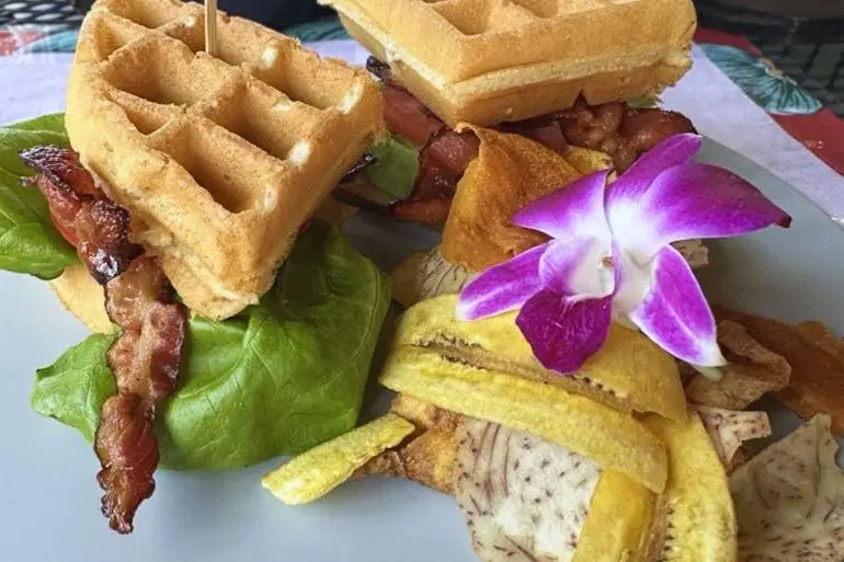 Waffle BLT at Bulegreen Cafe Yard in Oakland Park, FL