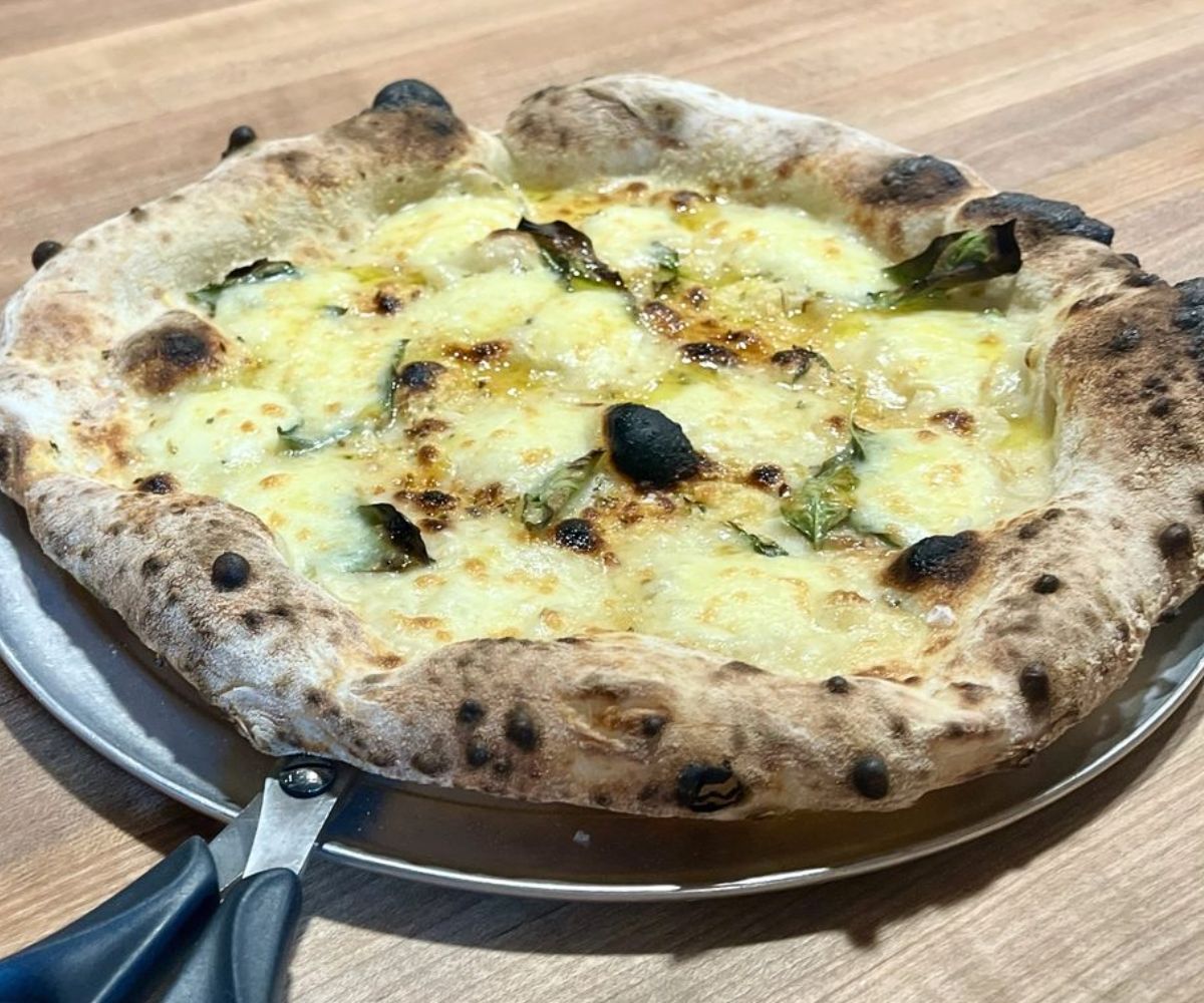 Bianca Pizza at Osteria DOP in Eugene, OR