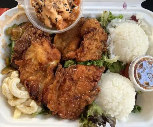 Mochiko Fried Chicken at Manoa Poke Shop in Somerville, MA