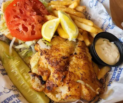 Grouper Sandwich at Coconut Jack's in Bonita Springs, FL