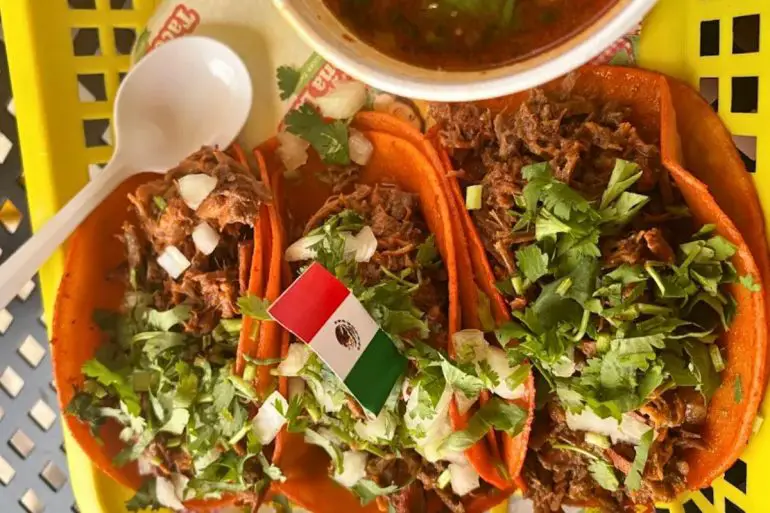 Birria tacos at tacos dona lena in houston tx