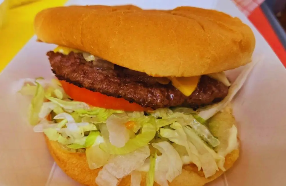 Burger at Big Larry's Burgers in Kasas