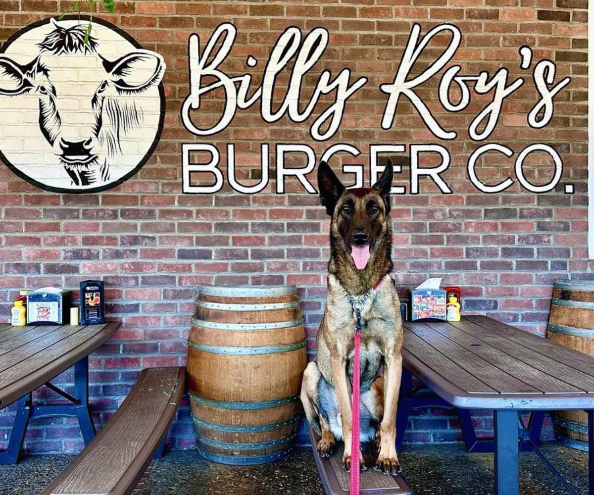 patio area at Billy roy's burgers in Fremont CA