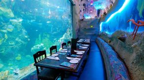 Downtown Aquarium Restaurant