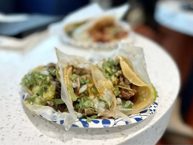 TACOS EL GORDO Taco