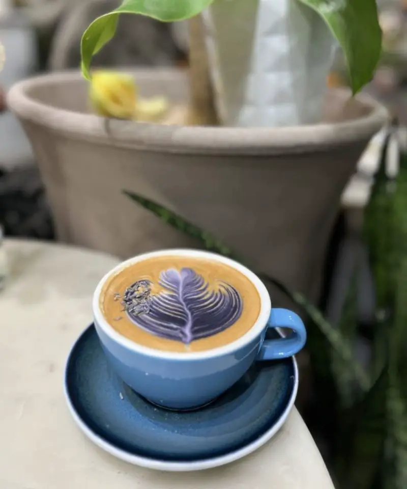 REMI FLOWER & COFFEE