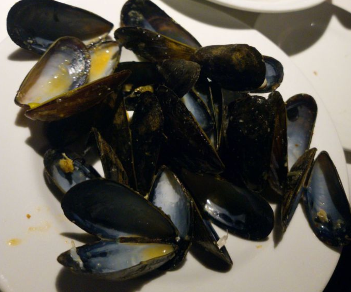 fresh mussels