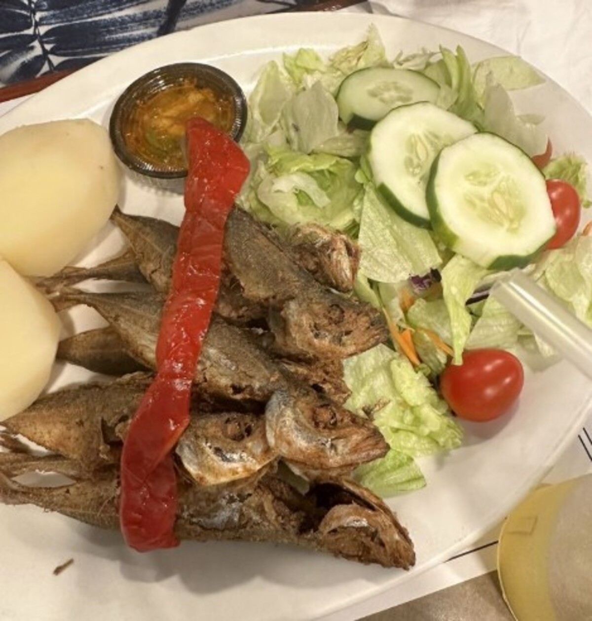 Chicharros at Caravela Family Restaurant located in Fall River, MA.