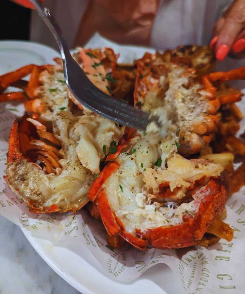 Photos for Saltie Girl in Boston, MA