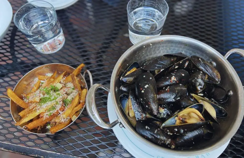 Photos for Saltie Girl in Boston, MA