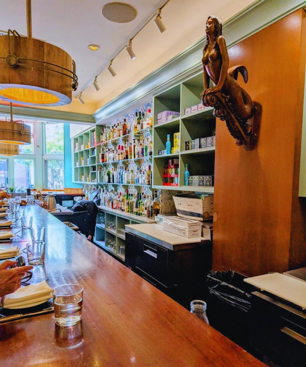 Photos for Saltie Girl in Boston, MA