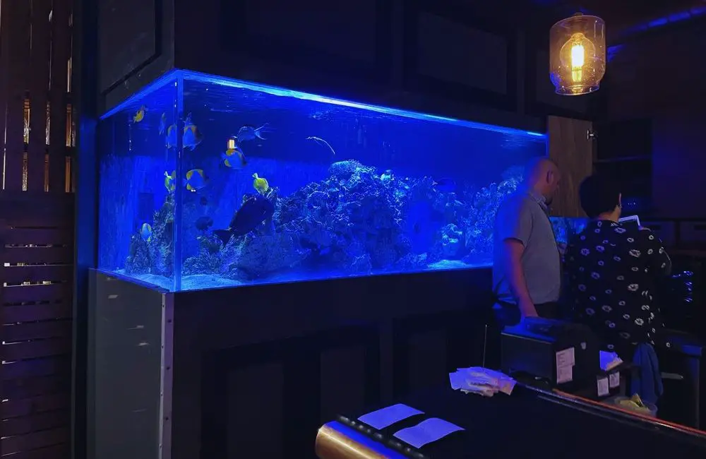 Photos for Lechon in Portland, OR