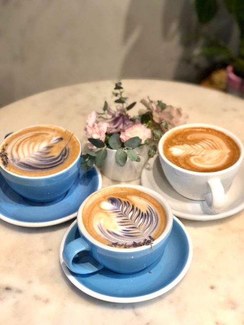 REMI FLOWER & COFFEE