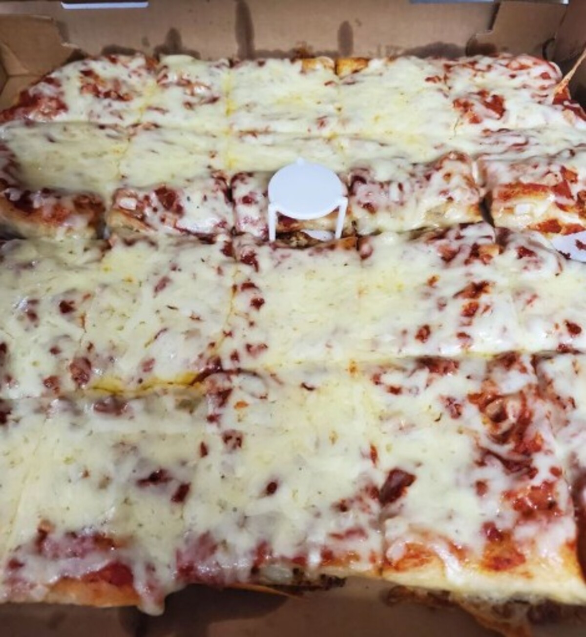 Pizza at Frog Pond Pub & Pizzeria located in Wilkes Barre, PA. 