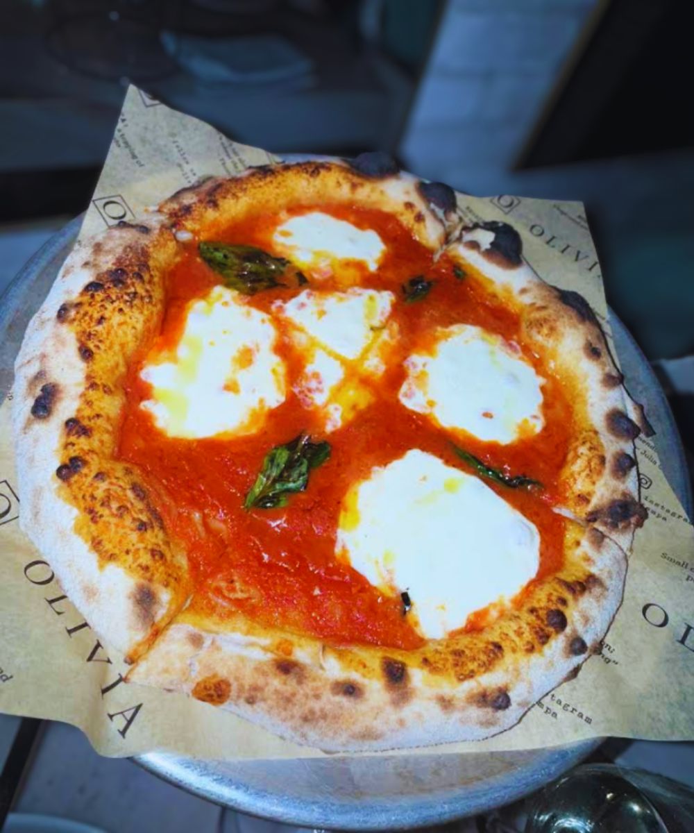 Photos for OLIVIA in Tampa, FL