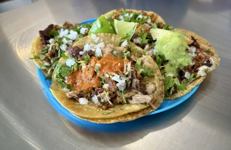 Tinga De Pollo