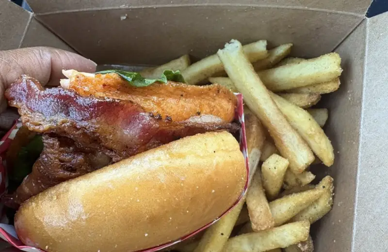 Arrogant (a salmon sandwich)