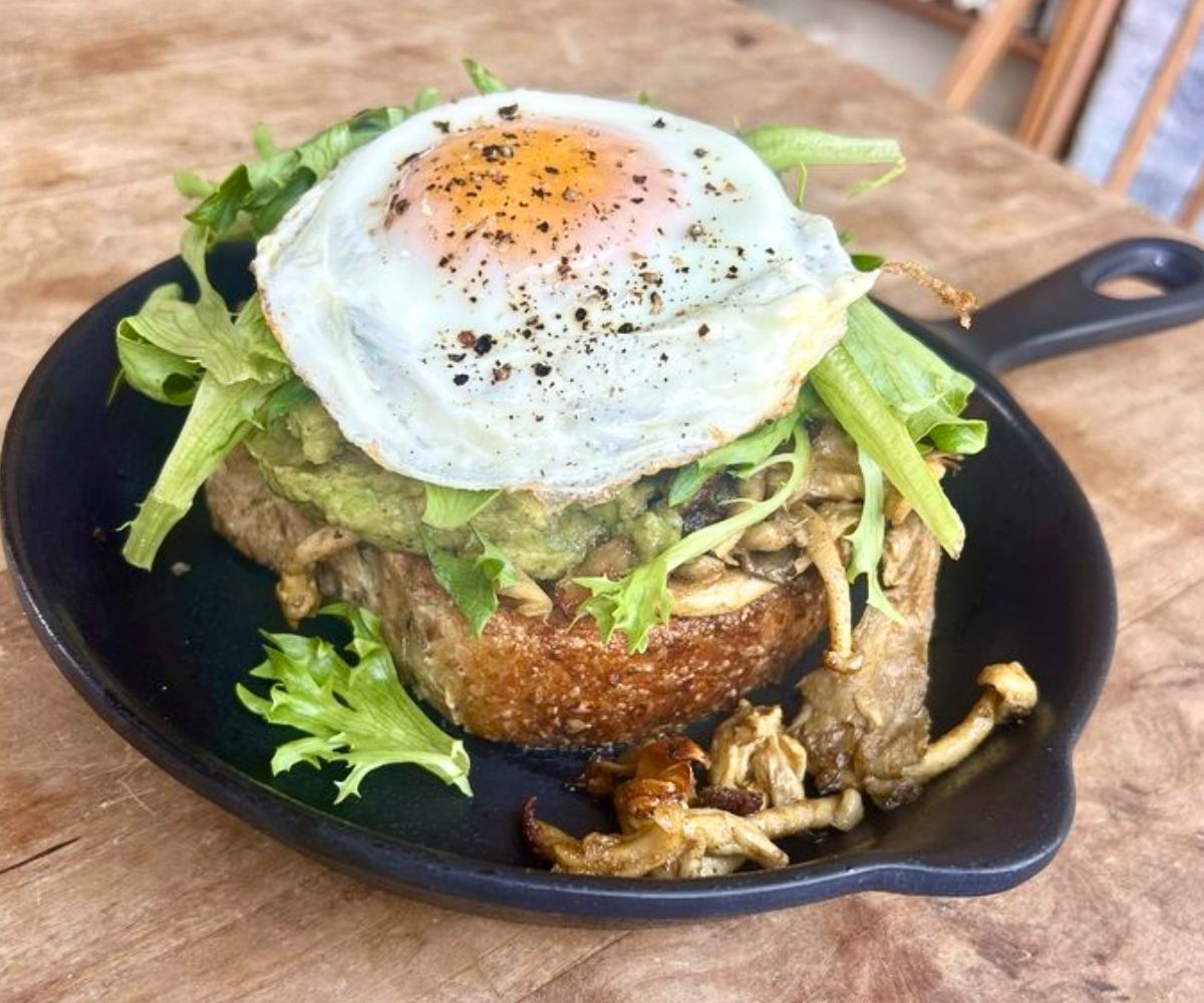Mushroom Toast at August First in Burlington, Vermont