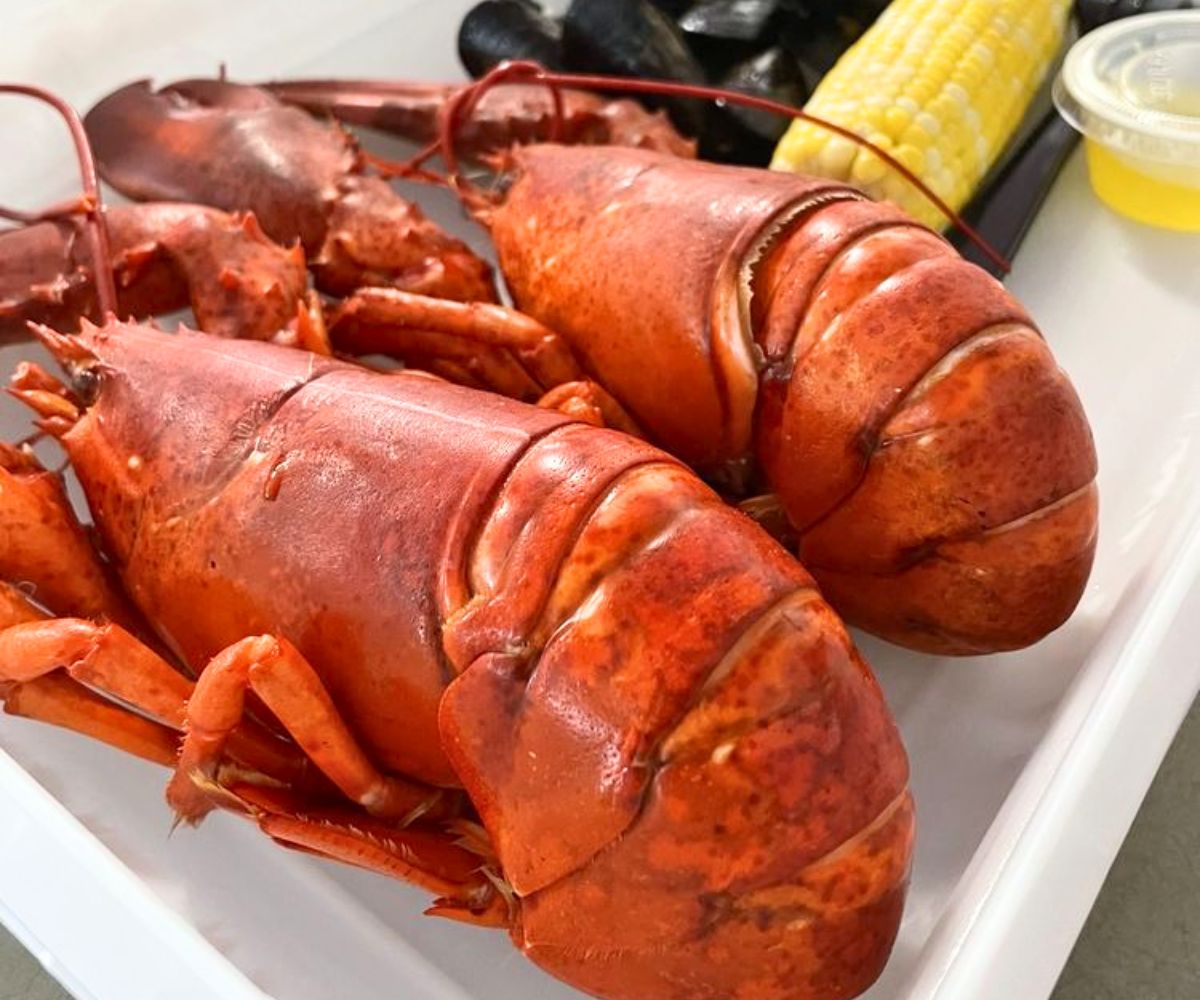 Twin Lobster Special at Alive & Kicking Lobsters in Cambridge, MA