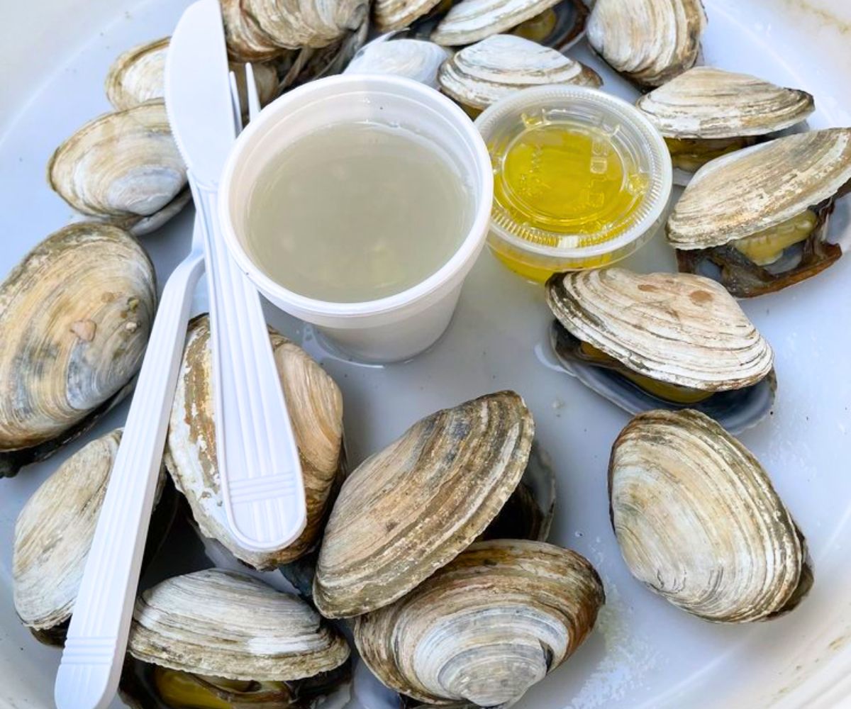 Steamed Clams at Alive & Kicking Lobsters in Cambridge, Massachusetts