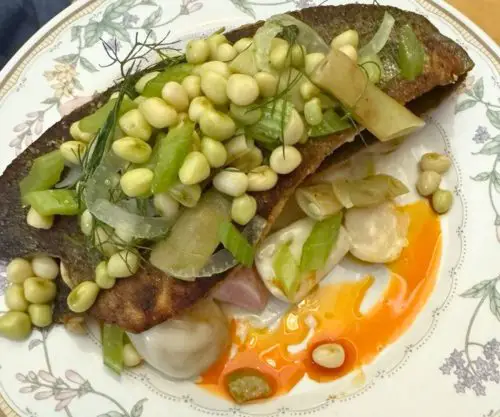 Rainbow Trout at The Noble North in Mobile, AL