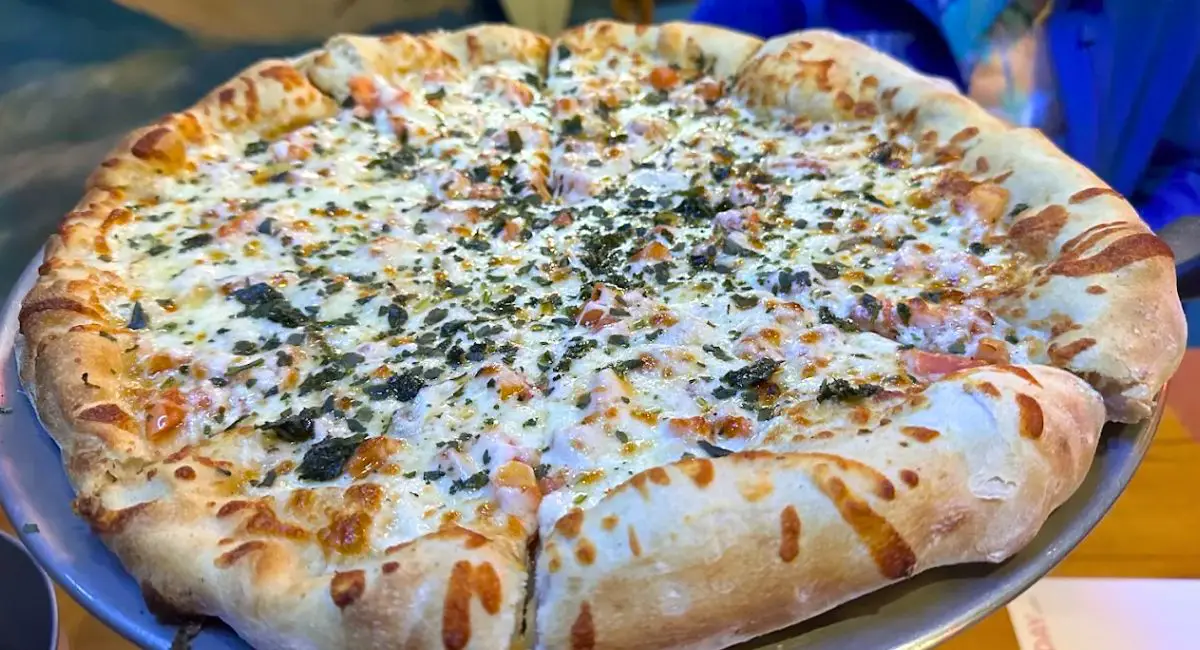 cheese pizza at Wave Pizza Company in Grand Island, Nebraska