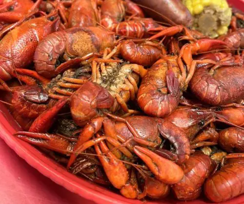 Boiled Crawfish at Steamboat Bill's on the Lake in Lake Charles, LA