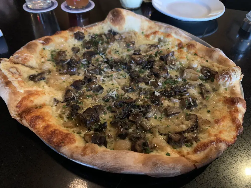Mushroom pizza