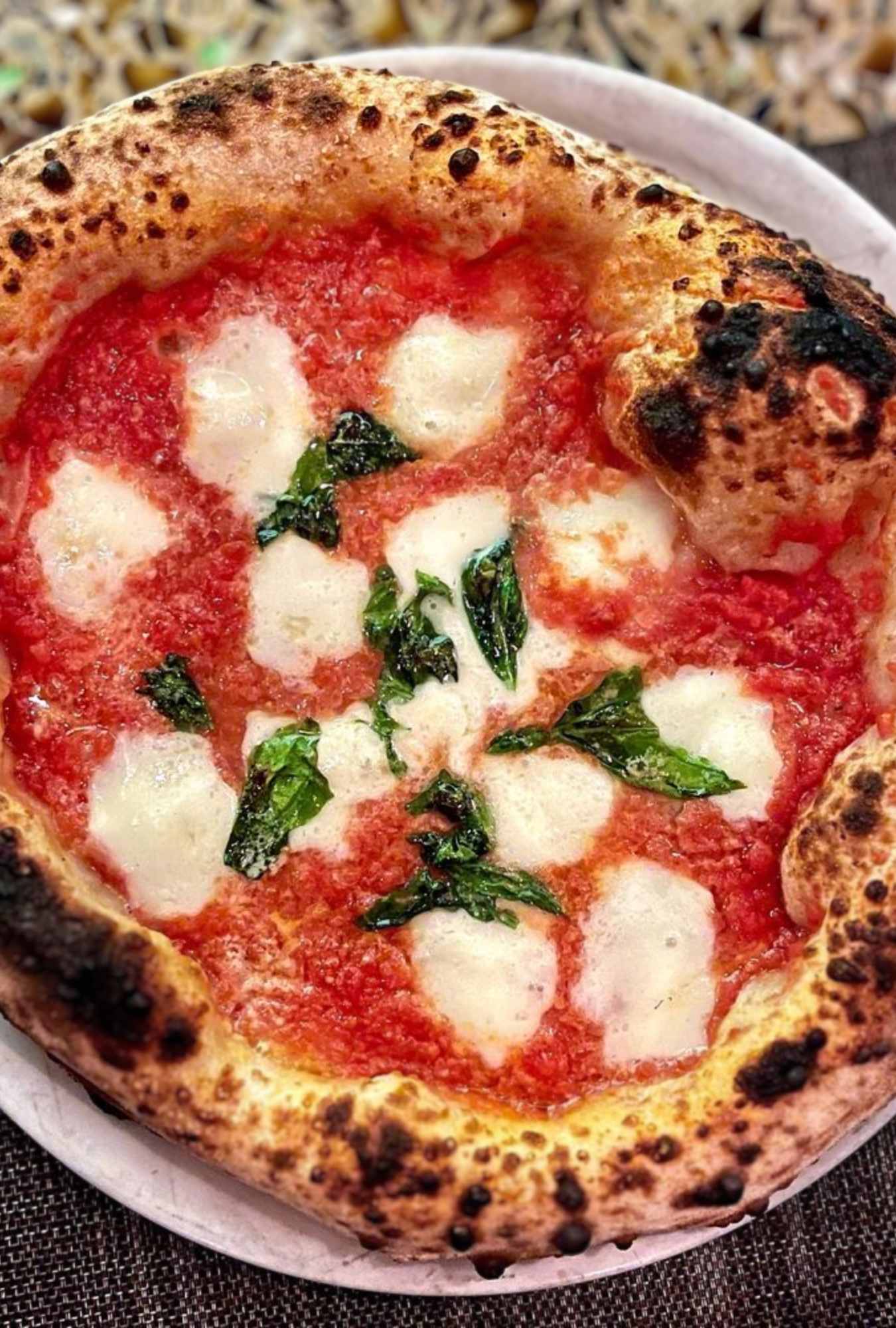 margherita pizza at figidini's in Providence, RI